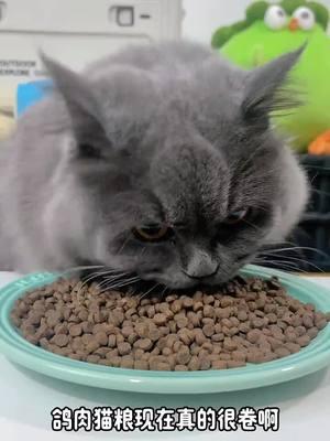 Cat food is really good, recommended#CutePetProducts #RecommendedProducts #CatFoodRecommendations 