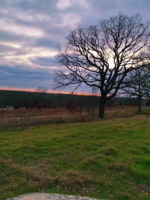 #oklahoma #southeastoklahoma #countrylife #fylpシ #frontporch #morganwallen @charlee @Jayce Wood 