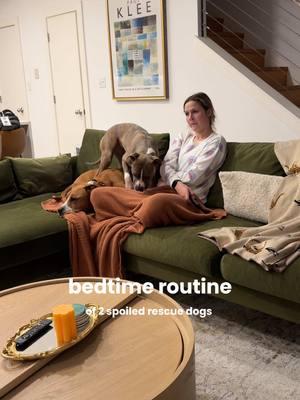 bedtime routine for the doggies 😌  #dogparent #dogtok #rescuedogs 