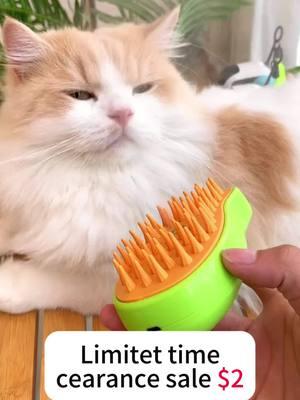 #cat #cats #catlovers #catsoftiktok #catsvideo #catvideo #cutecat #cutecats #asmr #pet #pets #petgrooming #petgroomingbrush #petgroombrush #PetsOfTikTok #tiktokcats #purstine