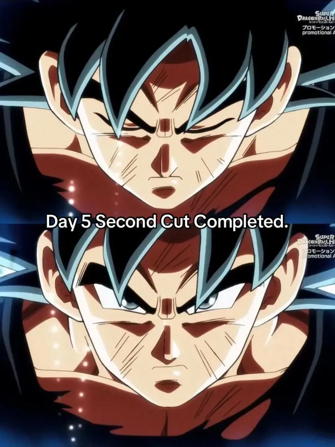 Day 5 Second Cut Completed🙏🏽💙🧡#weightloss #uigoku #weightcutting #caloriedeficit #him #nofap #gokutraining #blowthisupforme #viral #trending #goodeats #motivation #training #goodchickentenders #steezodribble #jotheeyesogod #eyesocommunity #eyeso 