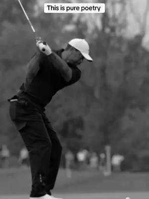 Tigers new swing is poetry! #tigerwoods #golf #golftiktok #golftiktokers #golfcoach #toddheuglygolf #pga 