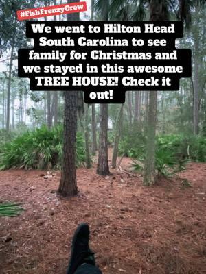 It was our first time staying in a tree house and it was awesome! We were on “Deer Island” and you can see the deer walking past you on your morning and evening walks!  Most of them have bicycles too! To get to the local cafes and nature trails.  #fishfrenzycrew #treehouse #viral #trending #hiltonheadsouthcarolina #deerisland #inthewoods #sc #nature #vibes #deer #wildlife #stayinginatreehouse #lowcountry #southcarolina #vacationideas #treehouseunlocked 