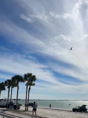 #florida #honeymoonisland #dunedinflorida #palmtrees #sundayfunday #iloveflorida 