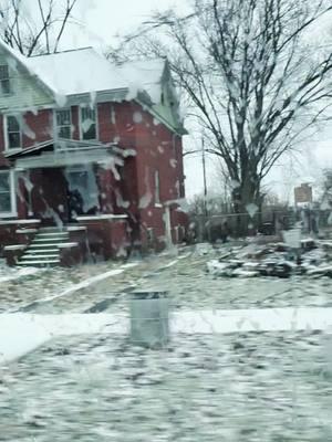 #detroit #squirrel #southern #thenorth #puremuchigan #fyp #snow #oldhouses 