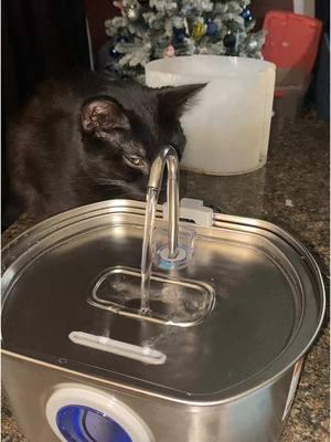 @Neareal Pet #fypシ #noplastic #steele #waterfountain #pets #viralvideo #neareal #petfountain #waterbowl 