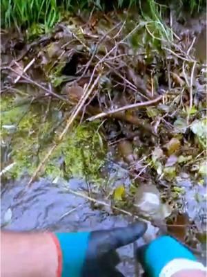 #unclog #unclogging #beaverdam #removal #mechanical #excavation #uncloggingdrains #drainplug #poop #pipes #satisfying #oddlysatisfying #asmr #fyp #fypage #viralvideo #foryou 