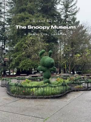 Spent a rainy cozy day at the Charles Schulz museum. I had been there before when I was younger but it was my husband’s first time and still just as cute and fun as I remember. ♥️ #snoopy #snoopymuseum #charlesmschulzmuseum #charliebrown #snoopylover #santarosa #cosyvibes #CapCut 