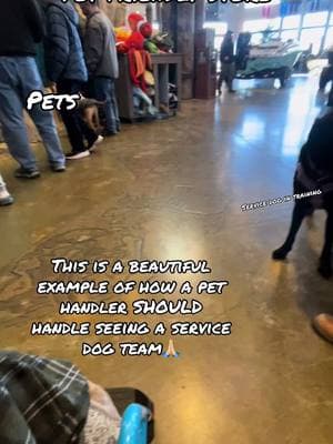 A LOVELY time seeing some well trained and well cared for pets. We wish every time we saw them was like this! #fyp #foryou #foryoupage #dogtok #dogsoftiktok #DogTraining #dc #servicedogtok #servicedogs #disability #servicedog #sdc #servicedogtraining #servicedogmeetup 