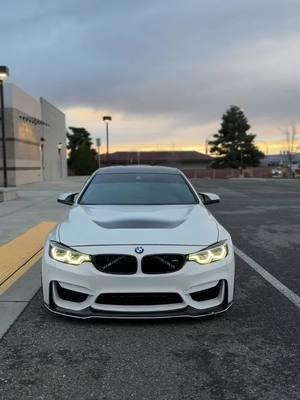 Timeless  #bmw #m4 #f82 #cartiktok #cartok #bmwlife #bmwclub #bimmernation #bmwm4 #f8xgang 