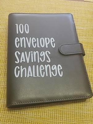 Carpeta de ahorro! #savingschallenge #envelopesavingchallenge #envelope #librodelahorro #ahorrochallenge #carpetadeahorros 