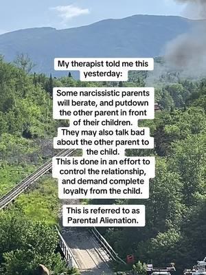 #parentalalienation #badparenting101 #traumahealingjourney #familytrauma #hurtfulbehavior 