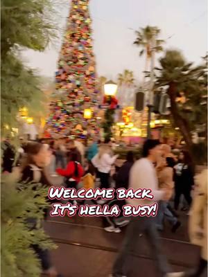 Pack your patience. #disneyland #disneycrowds #fyp #disneylandtiktok #andthenigoandspoilallbysaying #disneylandchristmas 