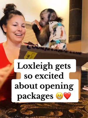 @Lox&Ollie Loxleigh gets so excited about opening packages 😁❤️ 01/05/25 #creatorsearchinsights #fyi #fypage #foryoupage #fypシ゚viral #fyf #fyfyfyfy #fyfyfyfyfyfyfyfyfyfyfyfyfyfyfyfyfyfy #fyforyou  #monkeysoftiktok #capuchin #monkey #monkeys #babymonkey #cute #adorableanimals #cuteanimals #cuteanimalsoftiktok #babyanimals #funnyanimals #funny #petmonkey #loxandollie #lando #spidermonkey #babyspidermonkey #newbornmonkey #monkys #funnymonkeyvideos #monkeybaby #monkeysactslikeahuman #monkeyrealfootage #smartmonkeys #capuchinmonkey #femalemonkey #asmrmonkey #babymonkeyvideos  #feedingmonkeys 