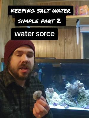 #keepingsaltwatersimple #aquarium #saltwater #petstoreemployee #petstore #saltwaterfish #saltwateraqurium #reeftank #keepingsaltwatersimple 