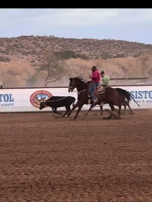 @Top Hand Ropes #🌹was catching a lot last night!!#roperaceride #foryou #fyp #fy #🔥 #roping #teamroping #heelside 