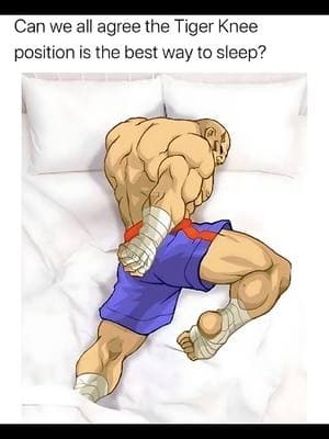 🤣😂🤣😂🤣 #sagat #streetfighter2 #tigerknee #sleepposition #meme #vintage #fypシ 