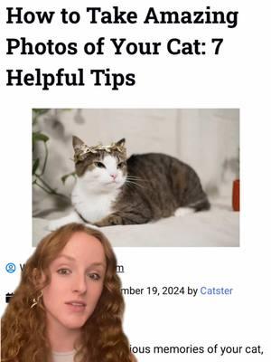 This is the most important information you will hear today🫵🙂‍↕️ #catphoto #cutecat #catparent #catlover #catphotography  Full article is on our website.