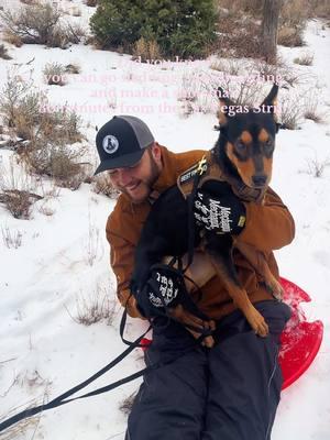 I just found out that it snows in Mt Charleston and it feels like such a nice little getaway out of the city. #mtcharleston #lasvegas #nevada #henderson #snow #getaway #sledding #dog