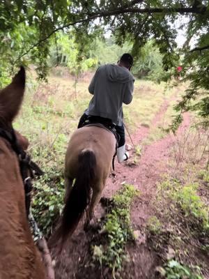 😮‍💨😮‍💨😮‍💨 #horses #citycowboy #cowboy #🐎❤️ #🐎🐎🐎 #horsemanship #fypシ #caballos #amorporloscaballos #caballistade❤️🐴🐴🐴🥃🥃🥃😎 #caballistasdecorazon #horsesoftiktok 