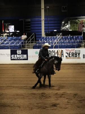 2024 was a hoot! Catch us at the world show in February!! #cowhorse #fyp #nrcha 