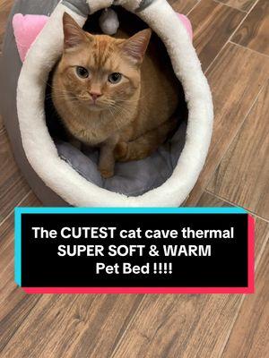 Holy COW do my cats LOVE this pet bed !!!!  I have never seen them instantly love a bed so much 🥰 #petbed #catcave #catbed #smalldogbed 