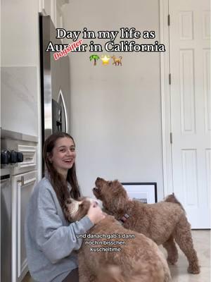 Kleiner Weekendvlog 🌴🌟🐕 Liebe es Zeit mit den Hunden zu verbringen!! #CapCut #Vlog #dayinmylife #aupair #dogsitter #aupairinusa #aupairlife #fy #fyp #viral #trend #exchangeyear #travel #gapyear cr.: @greta| Au-pair Cali 