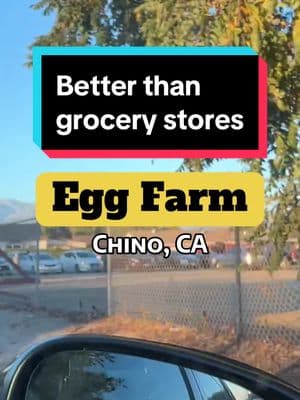 If my egg yolk isnt orange, i dont want it.  Regular yolks are pale yellow.  These are bird flu free and high quality eggs.  #chino #farm #eggs #creatorsearchinsights #creatorsearchinsight #realreview #socalhiddengems #hiddengems #socallife #socaladventures 