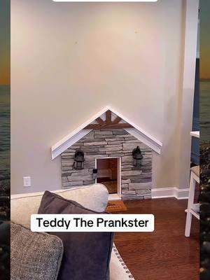 Teddy is the king of excessive pranks#dog #pranks #dogsoftiktok #goldenretriever #puppy #funny #lovedogs #doghouse #foryou #fypシ