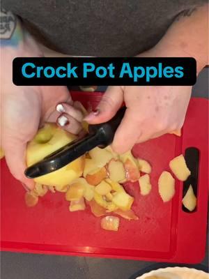 Perfect for snow days.❄️ #apples #crockpotrecipes #Recipe #EasyRecipe #fruit #friedapples #crockpot #slowcooker 