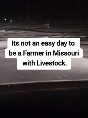 Crazy storm has made everyone absolutely miserable! So far we still have power, and all the animals arw doing okay. we are checking them frequently, and making sure they eat , since most won't leave the barn they are in. I feel terrible, but they have deep fresh straw, heat lamps when needed, coats, hay, water, and Hot mash. There's nothing more I can do. #blizzard #canadagohome #missouricheck #midmissouri #farmersdontgetsnowdays #animalsgottaeat #farmlifeisnteasy #possumthepig #singledigittemps #snowmageddon2025 