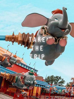 Take the trip. I’ve never regretted going, but I’ve definitely regretted not going. Life is short-make the memories that last forever 🤍 #momlife #disney #disneyparks #disneyworld #waltdisneyworld #magickingdom #travel #Disney2025 #DisneyPlanning #Traveltips #magicalvacation #disneyvacation #disneytrip #fairygodmothertravel 