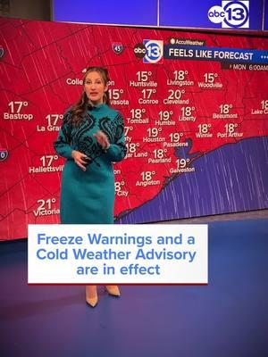 Freeze Warnings and a Cold Weather Advisory are in effect Monday morning with temperatures dropping below freezing for the first time this season. Keep it locked on ABC13 for the latest updates. #weather #freeze #lightfreeze #freezewarning #texasweather #texas #houstonweather #southeasttexas #weatherupdates #abc13houston #abc13 #winterweather