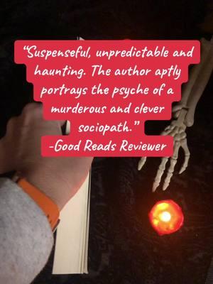 #paranormalmystery #ghostbooks #ku #readersoftiktok #jrericksonauthor #northernmichigan 