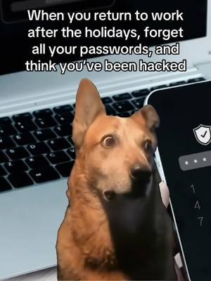 Anyone else?  #holidays #work #password #forgotpassword #hacked #scams #workmemes #returningtowork #newyear #officelife #onlinesafety #cybersecurity #cyber #guardio 