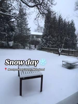 Show off your snow! 📸 ❄️ ❄️ ⛄️  The D.C. area awoke to a thick blanket of snow Monday, and 6 to 10 inches could fall before this winter storm is done.  📱 Share your pics and videos here, or email isee@nbcwashington.com.   #washingtondc #districtofcolumbia #maryland #montgomerycountymd #northernvirginia 