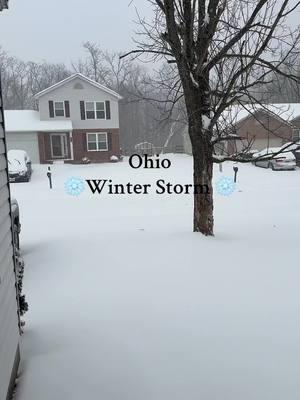 Stay Safe + Warm Everyone ❄️ #ohio #winterstorm #ohiowinter #ohioweather #winterishere #snowstorm #ohiosnowstorm #staysafe #cincinnati #cincy #ohiomom #cincinnatiohio 