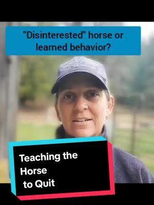 Every moment of the interaction is either teaching the horse to try, or avoid and become defensive towards human communication. #alternativehorsemanship #horsebehaviour #horsebehavior #horseskills #horse 