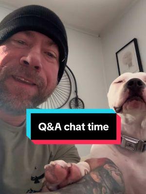 Q&A time! #fyp #foryou #foryourpleasure #dogtok #happydog #Love #dog #pet #mansbestfriend #🐶 #🐶🐶 #🐶🐶🐶🐶 #tiktokchallenge #tiktokviral #discover #r2 #adopt #bullybreed #pibble #americanbully #staffordshirebullterrier #pitbull #pitbul #pitbullsoftiktok #pitbulllove #pitbulls #foryourpage