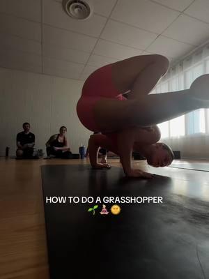 Grasshopper tutorial😊#grasshopper #yoga #armbalance 