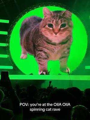 Ethel made it to the rave 🥹 @Ethel the OIIA Cat #festival #electronicmusic #oiiaiiooiiai #wandw #wandwmusic 