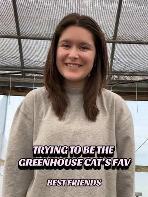 The feeling isnt mutual, I fear 😔 #fyp #cat #catperson #catsoftiktok #greenhousecat #workpet #catvibes #funny #lol #gabriellaplants #alwaysgrowingmore 