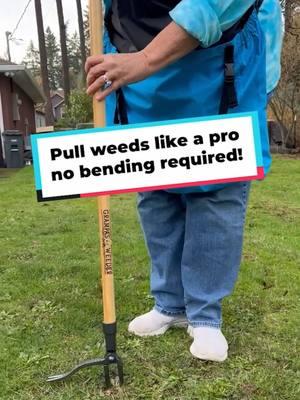 🌱 Pull Weeds the Easy Way! 🌱 Say goodbye to back pain and hello to effortless weeding with Grampa’s Weeder! Designed for maximum comfort and efficiency, it’s the tool every gardener needs. 🛠️✨ #grampasweeder #grandpasweeder #gardening #weedpuller