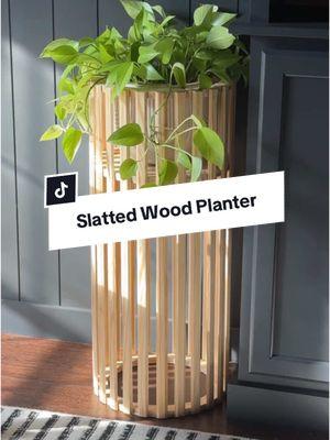 He’s a keeper! 🥹 Full YouTube tutorial up now! 🙌 DM us for the 🔗 so you can make your own!  #DIY #diyproject #planter #plants #interior #interiordesign 