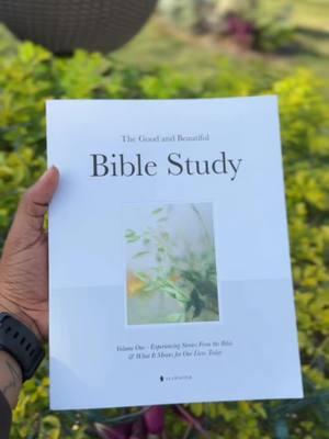 I love everything about this book. From the pictures, to the verses, the size, the colors, the titles and I love how each topic is sectioned out 📚📖 #thegoodandbeautifulbiblestudy #2025 #alabasta #biblestudy #bibleinayear #fyp #fyp 