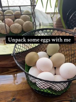 Unpacking today’s beautiful egg rainbow from our tiny homestead 🐓🌈 These girls sure know how to brighten my day! Fresh, free-range, and full of love. Who else loves farm life as much as we do? 🥚✨ #FarmFreshEggs #HomesteadLife #ChickenMama #EggRainbow #BackyardChickens #TinyHomestead #FarmLifeVibes #FreshFromTheFarm #SustainableLiving #FreeRangeEggs