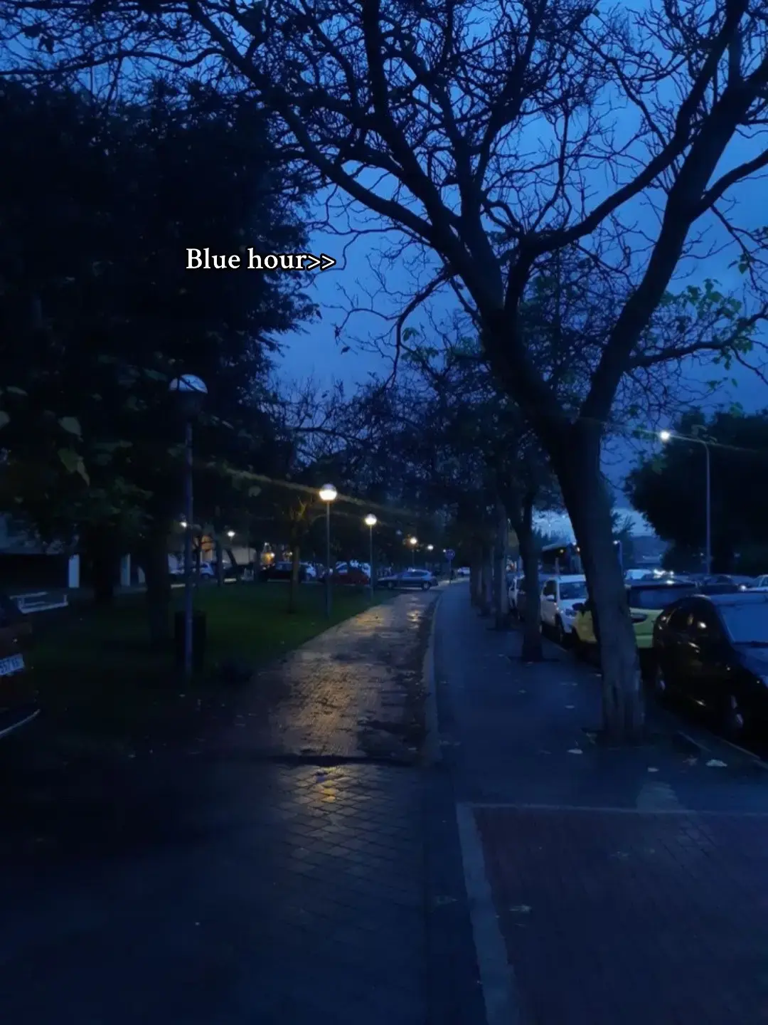 one of of not the best aesthetics #bluehour #aesthetic #fyp #dark #viral 