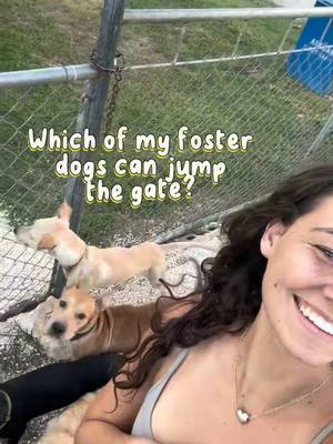 You HAVE to watch till the end ☠️🤣👏🏼#dogs #jump #problemchild #saipan 