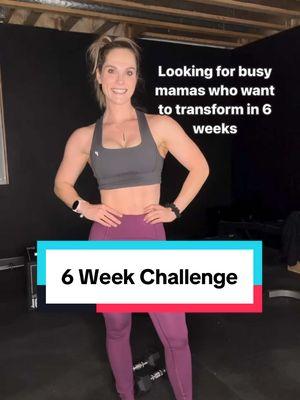 Ready to transform in the next 6 weeks! Winning 1,000$ out 6 week challenge starts Monday! #momsofig #postpartumfitness #toddlermoms #newbornmom #momlife #momstrong #athomeworkouts #womenworkouts #followalongworkouts #postpartumfitness #fitmomlife #momswholift #grwm #OOTD #fitmomstrong #momboss #postpartumjourney #postpartumworkout