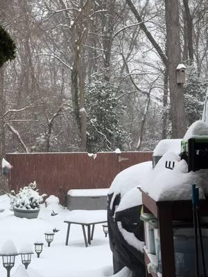 No estaba lista mentalmente para ver tanta nieve y sentir tanto frío #jesucristocierraelrefri 